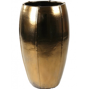 emperor-moda-goldii