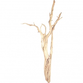 ghostwood-03