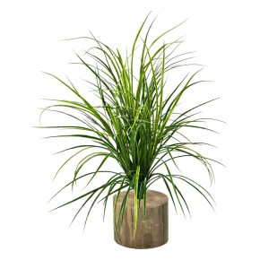 grass-bunch-75cm