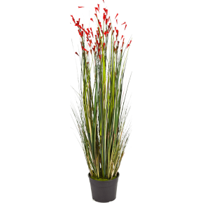 grass-coral-red-120cm_315699406