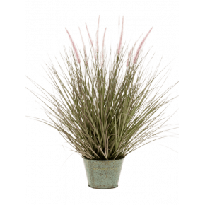 grass-pennisetum-58cm