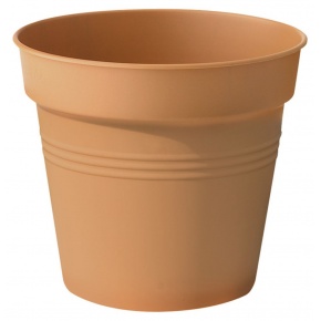 green-basic