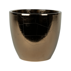 svan_gold_kaspo_6ptr65875