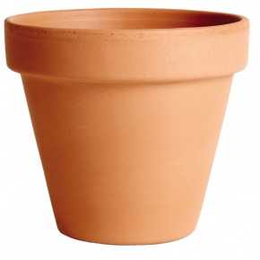 vaso01_1583145645