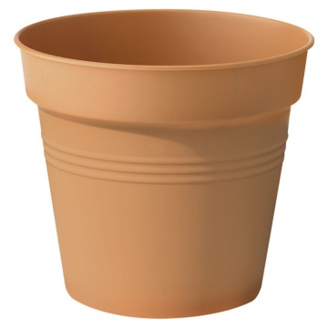 green-basic