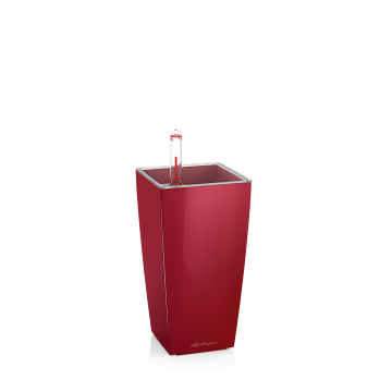 lechuza-mini-cubi-skarlat