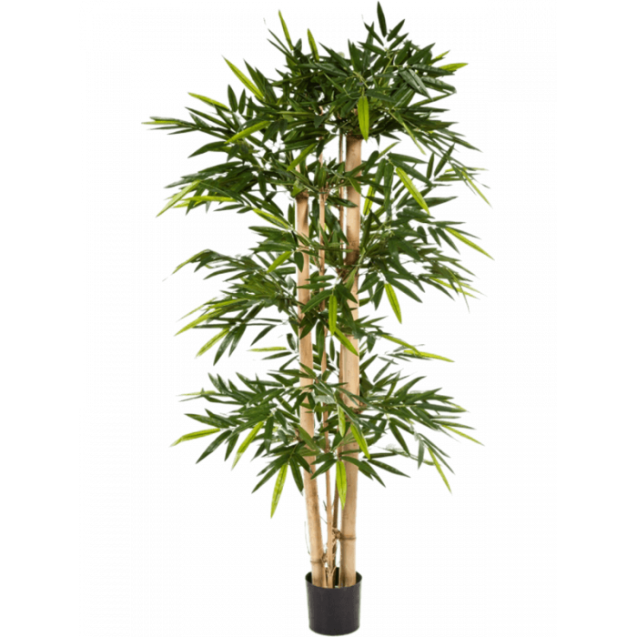 bamboo-branched-300cm_2030886140