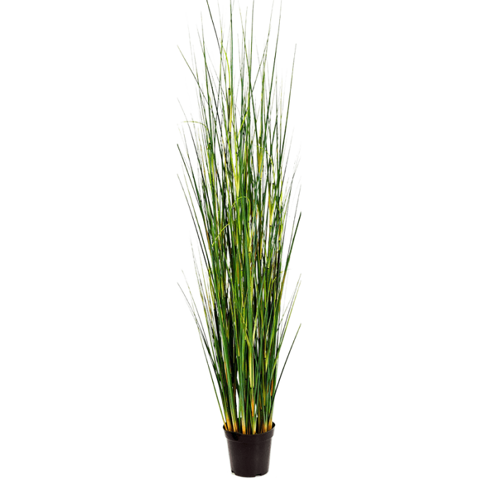 bamboo-wild-grass-145cm_1743495328