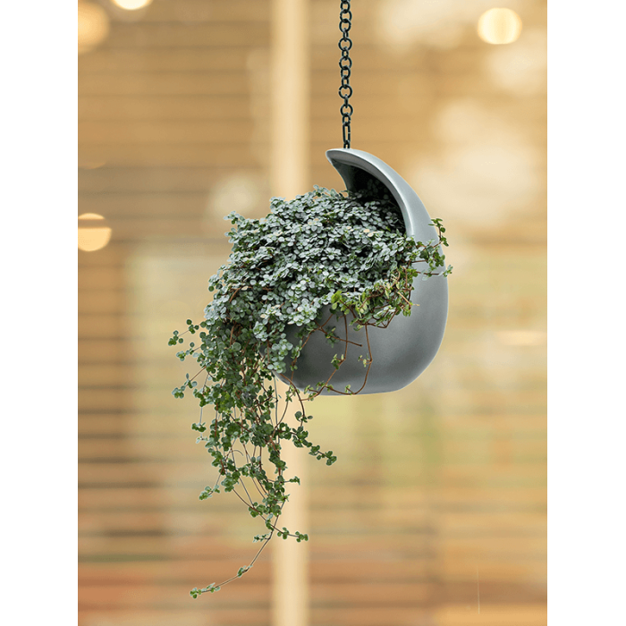 baq_gradient_hanging_cocoon_matt_grey2