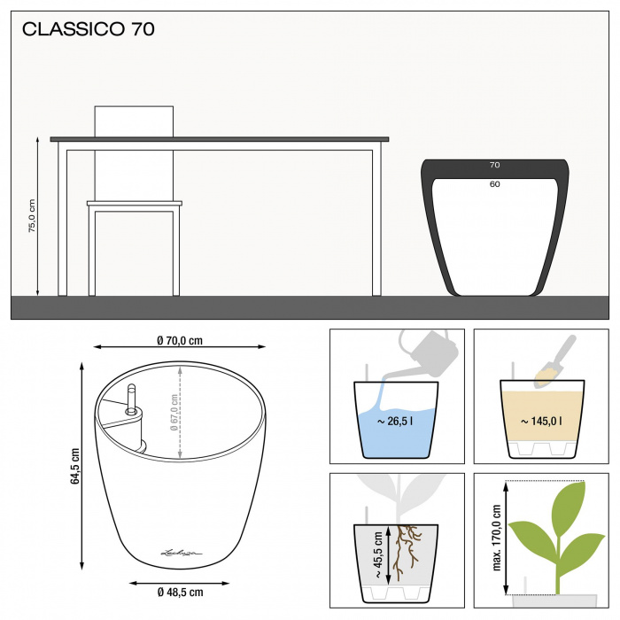 classico-70_333983998