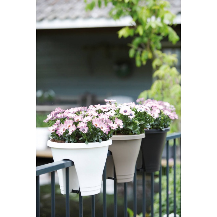 corsicaflowerbridge_i1_1758497485
