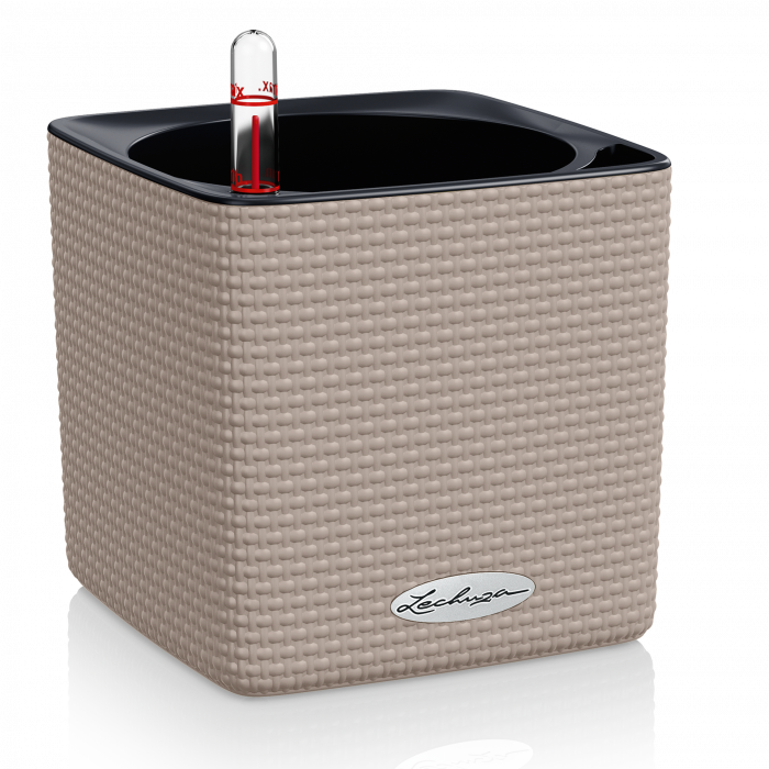 cube_color_14_sand_brown