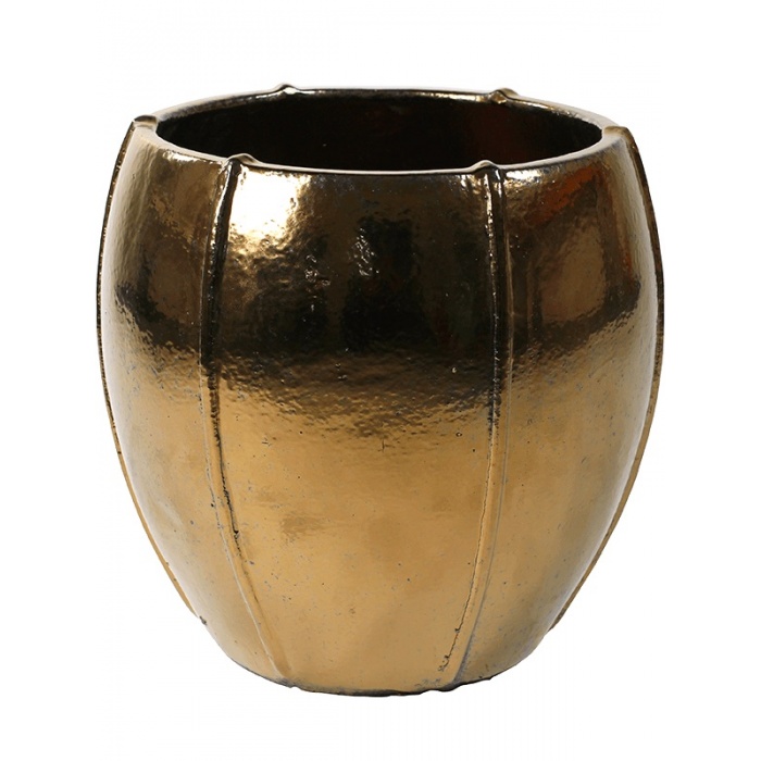 emperor-moda-gold_1892521391