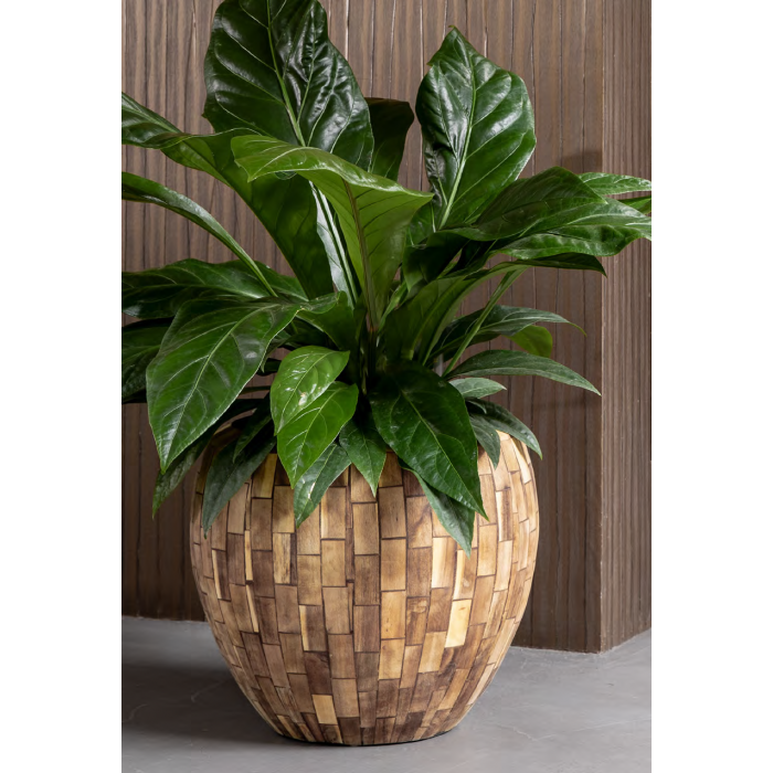 facets-jenga-couple_1403486624