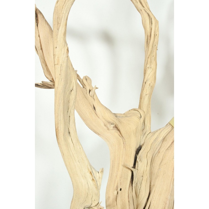 ghostwood-01