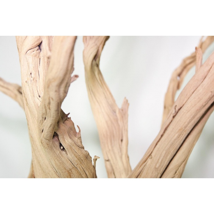 ghostwood-02