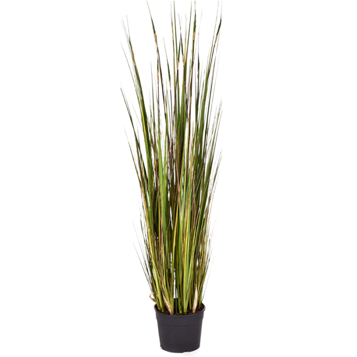 grass-bamboo-120cm_1574225089