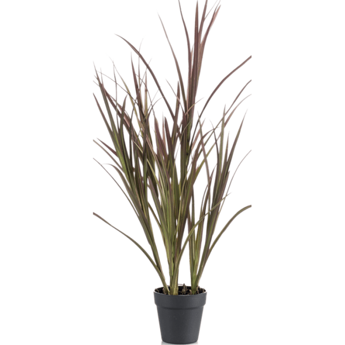 grass-burgundy-90cm_968214061