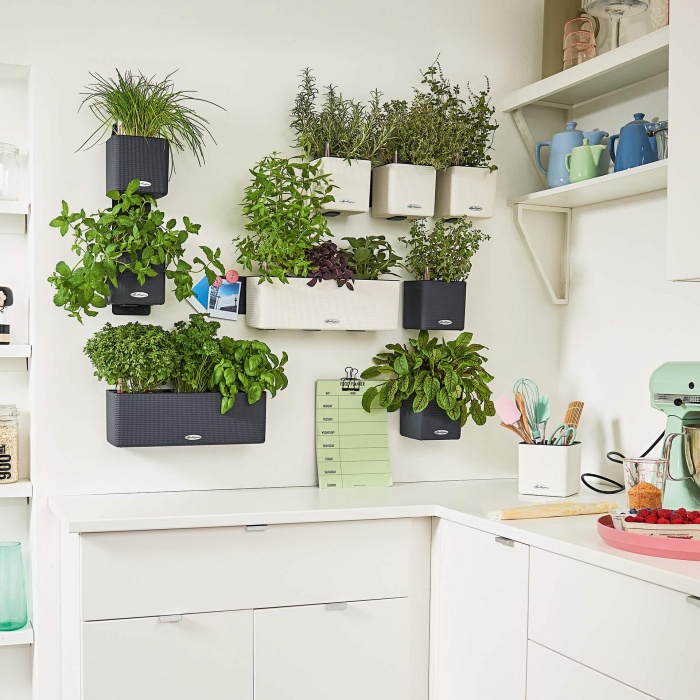 green-wall-