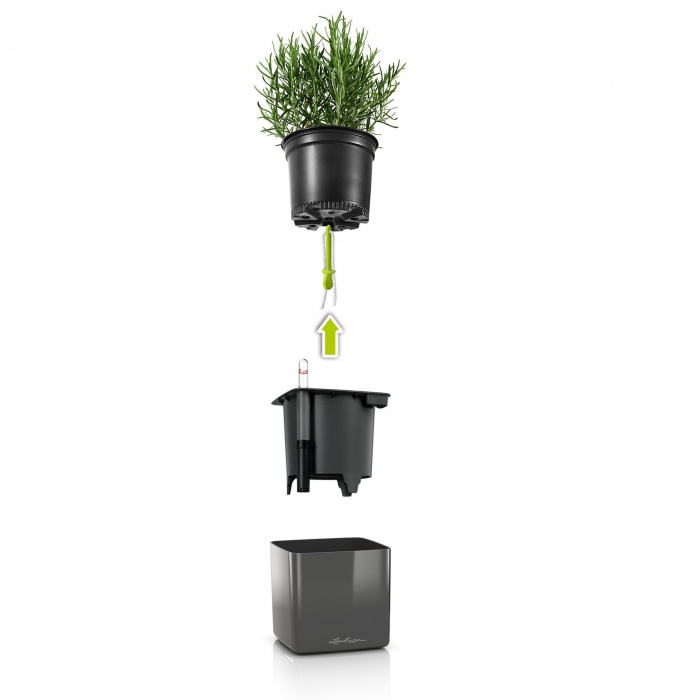 green-wall-home-kit-glossy-faszen-sett-2_776272920