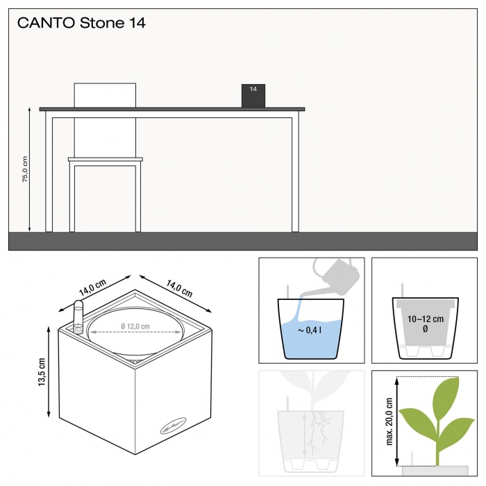 lechuza-canto-stone-14_1347789885