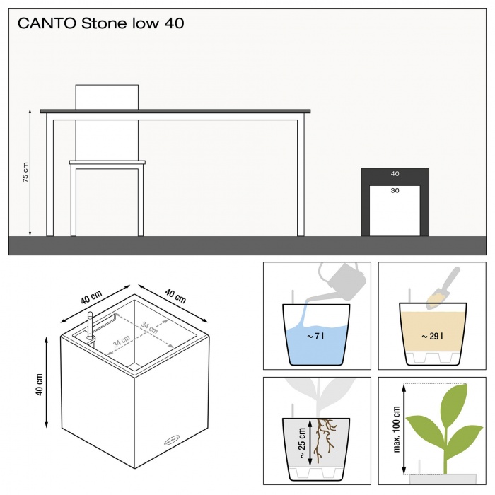 lechuza-canto-stone-40_290463778