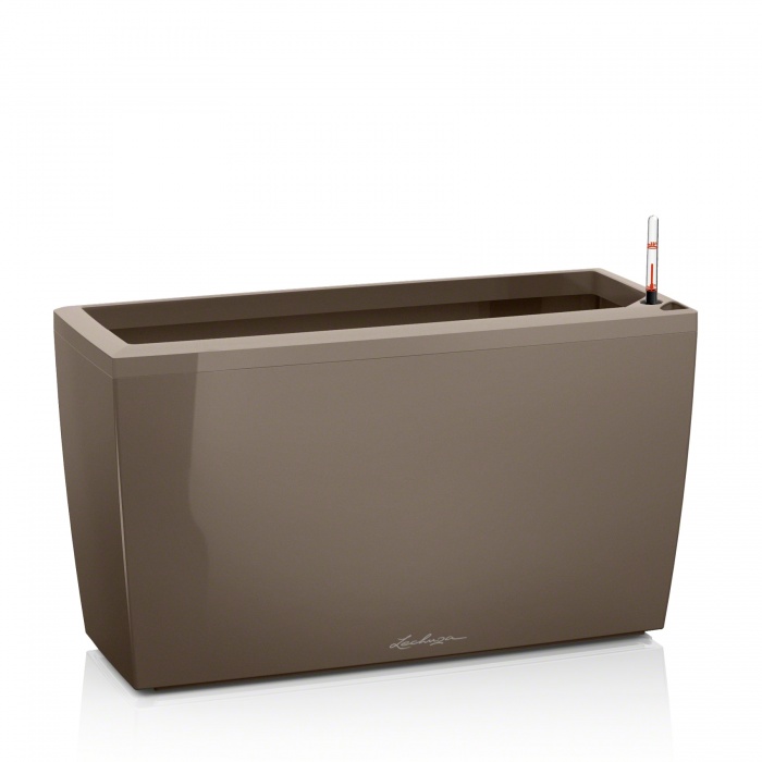 lechuza-cararo-taupe_2030982238