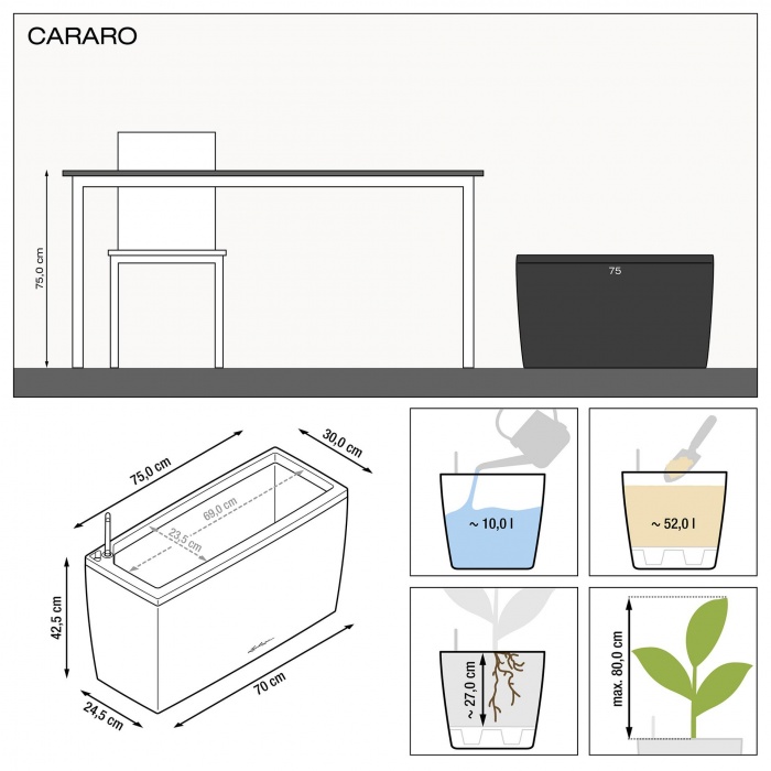 lechuza-cararo_228323713