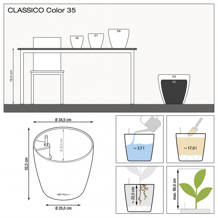 lechuza-classico-color-35