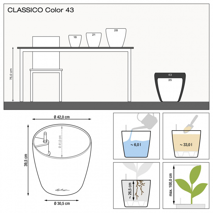lechuza-classico-color-43