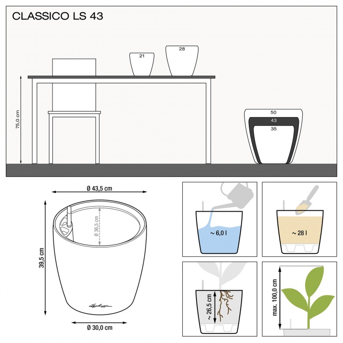 lechuza-classico-ls-43_534834555