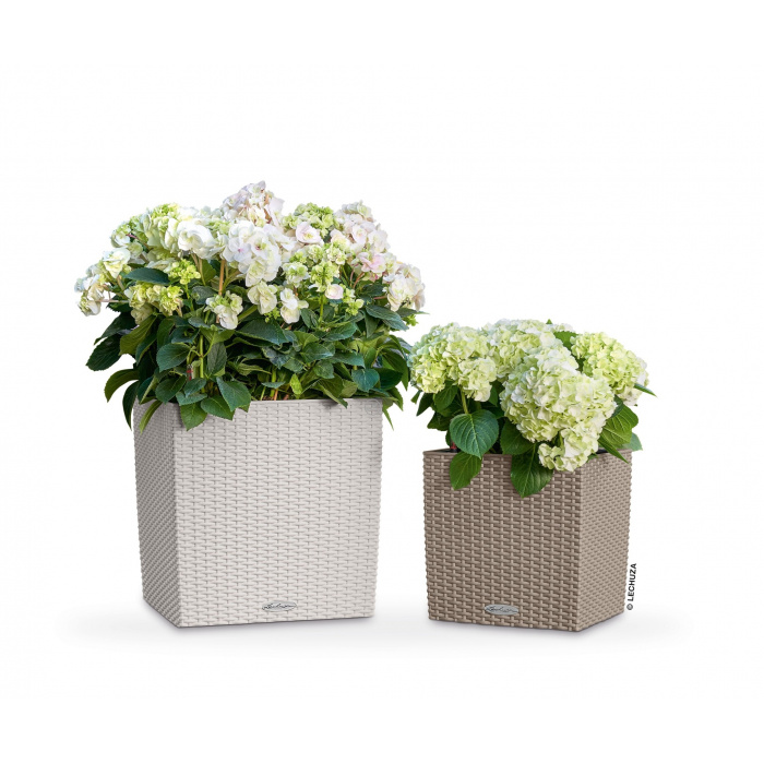lechuza-cube-cottage-sand-brown3_273038784