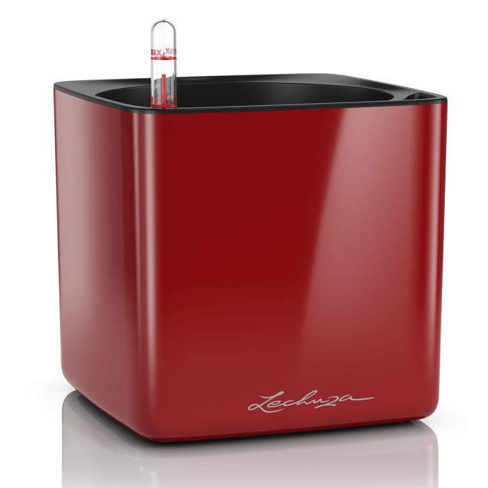 lechuza-cube-glossy-skarlat_212254398