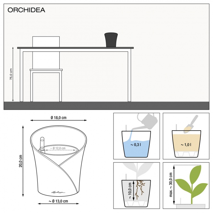 lechuza-orchidea-meret_708332069