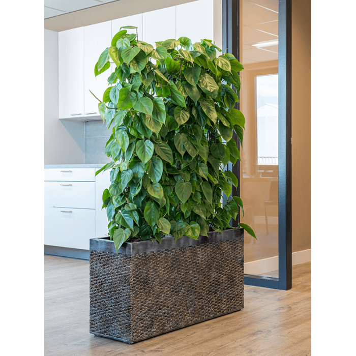 luxe_lite-universe-layer-rectangle-bronze-kaspo
