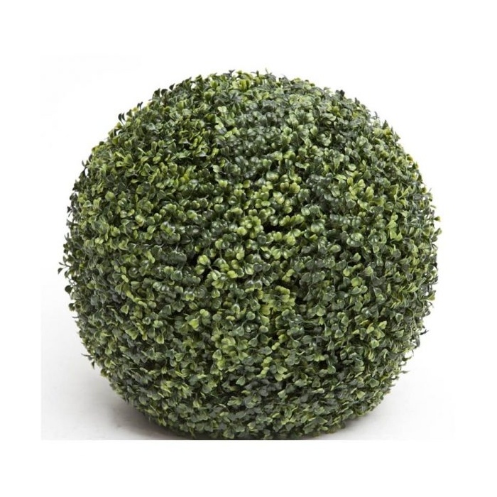 mubuxus_539691415
