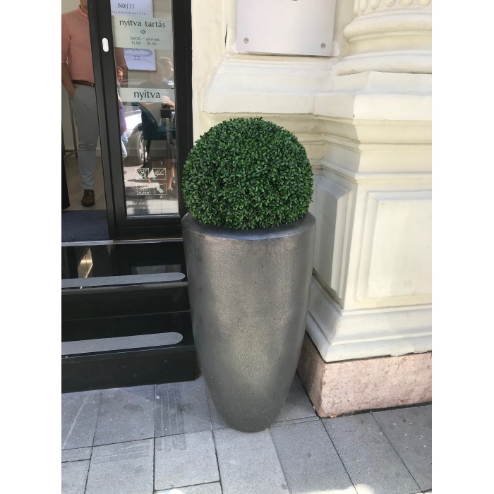 partner-delux_48cm-buxus_292565818