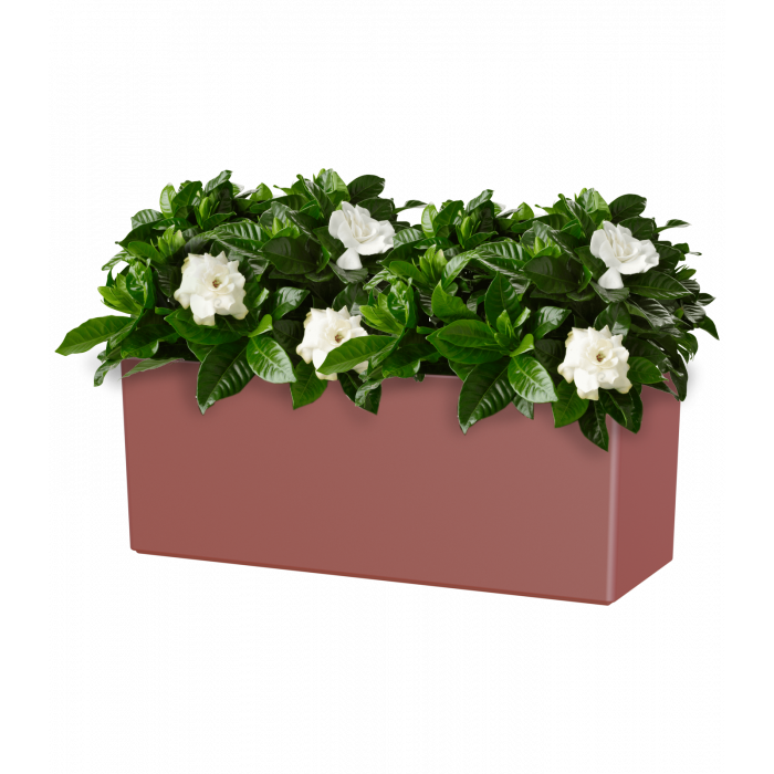 plastic-pot-recyclable-plant-box-red-plant