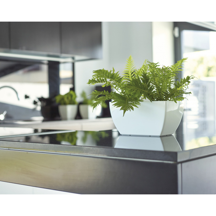 plastic-pot-recyclable-plantbox-white-indoor