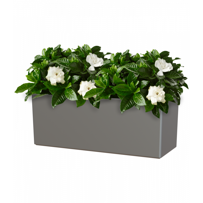 plastic-pot-recyclable-planter-anthracite-plant-4_864090087