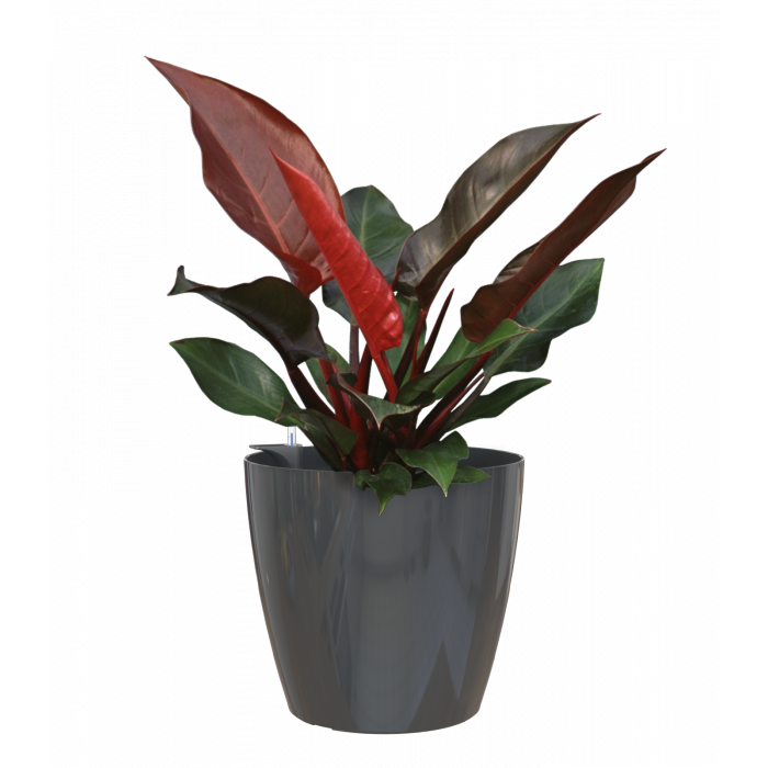 plastic-pot-recyclable-planter-glossy-indoor-anthracite-plant-1_746582814