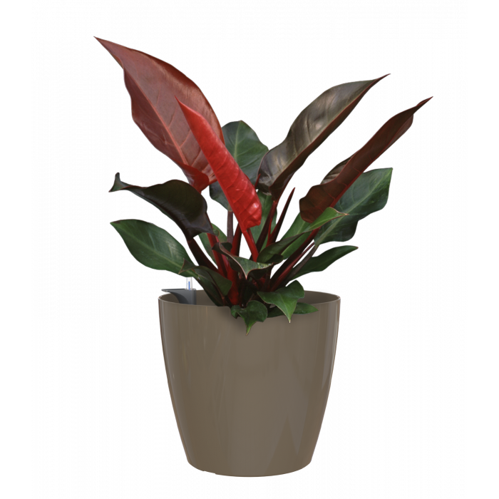 plastic-pot-recyclable-planter-glossy-indoor-taupe-plant_1788540964