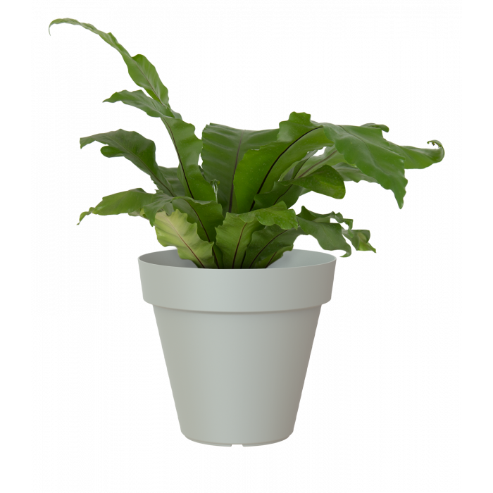 plastic-pot-recyclable-planter-grey-plant_861326082