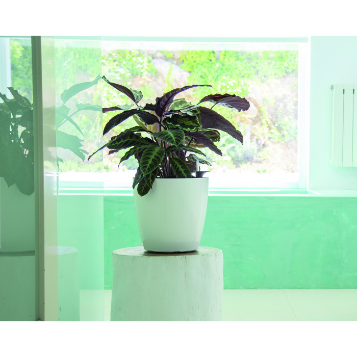 plastic-pot-recyclable-planter-self-watering-white