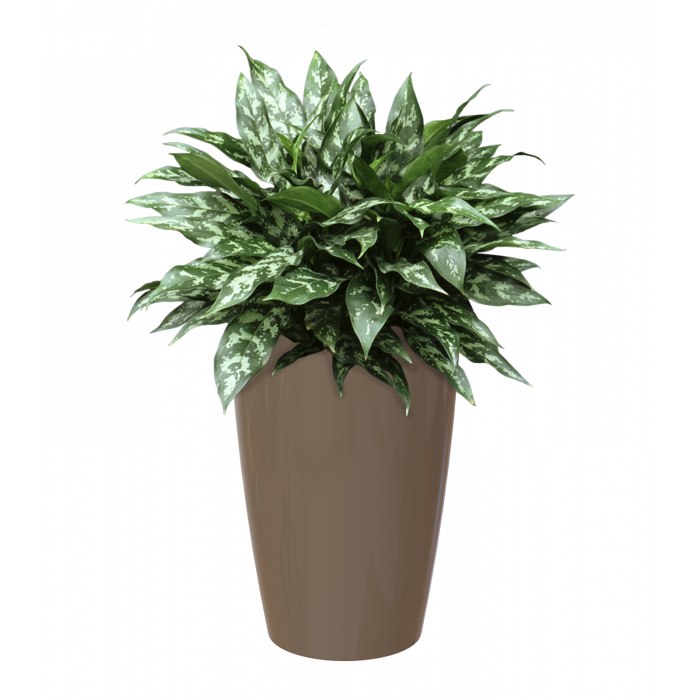 plastic-pot-recyclable-planter-tall-brown-plant_603555007