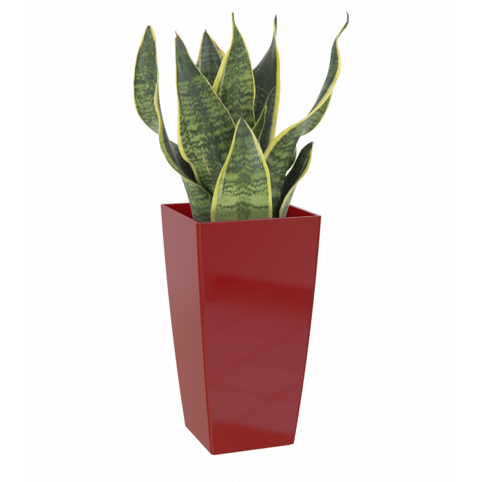 plastic-pot-recyclable-planter-tall-dark-red-plant_892541013
