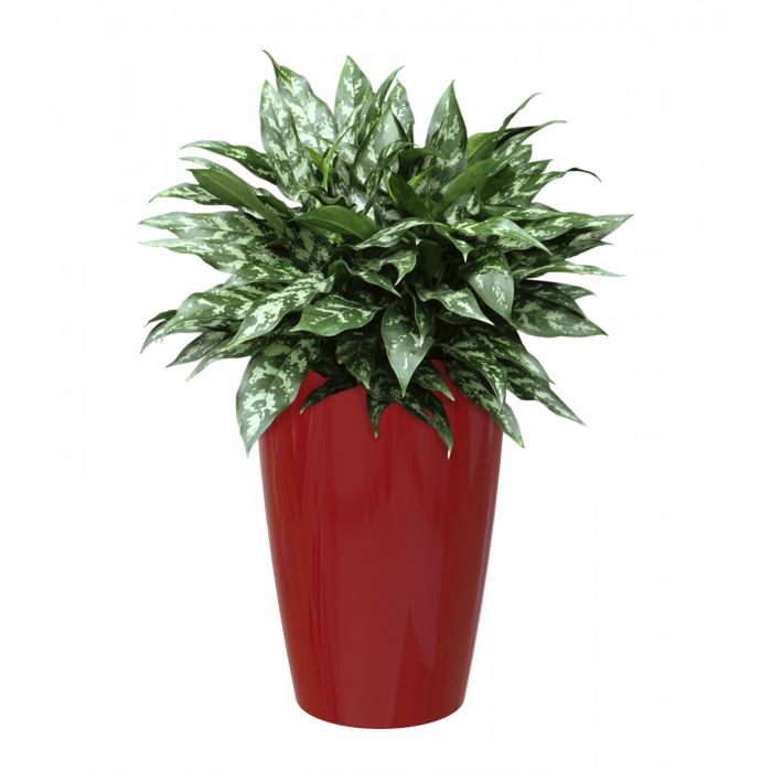 plastic-pot-recyclable-planter-tall-red-plant