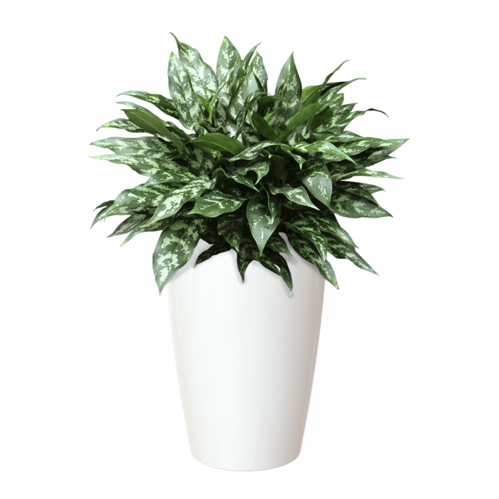 plastic-pot-recyclable-planter-tall-white-plant-1