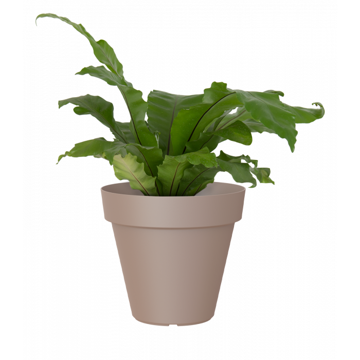 plastic-pot-recyclable-planter-taupe-plant_1090635865