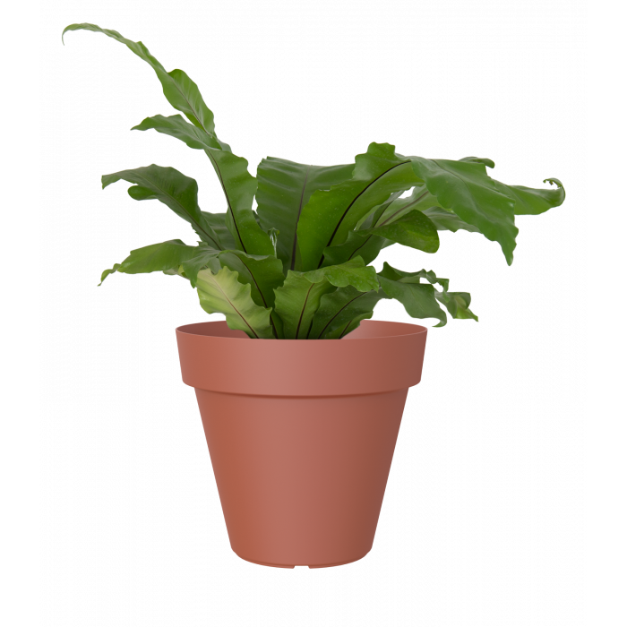plastic-pot-recyclable-planter-terracotta-plant_1357824202